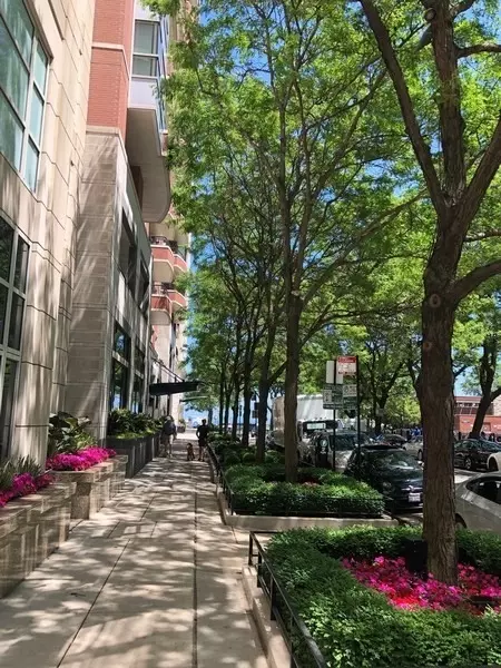 Other - 270 E Pearson St #403, Chicago, IL 60611 photo 5 of 6