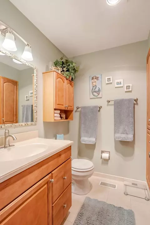 993 Longstreet Dr, Bartlett, IL 60103 photo 19