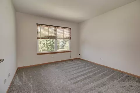 1723 Hidden Oaks Ct, Plainfield, IL 60586 photo 22