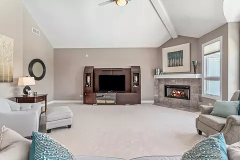 Living - 13121 Merganser Cv, Plainfield, IL 60585 photo 3 of 4