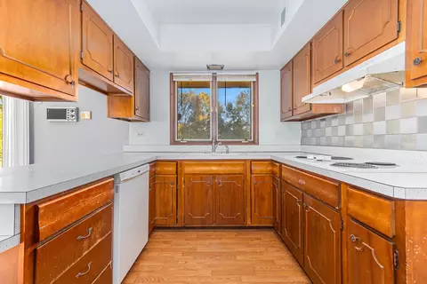 14705 S Eastern Ave, Plainfield, IL 60544 photo 20