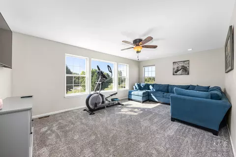16004 S Selfridge Cir, Plainfield, IL 60586 photo 17