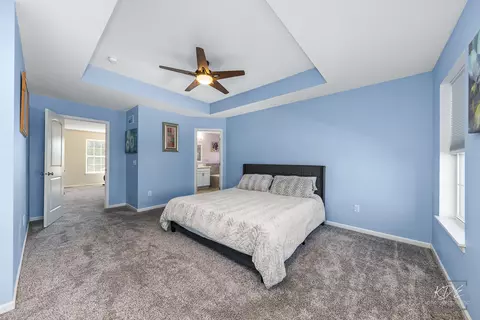 16004 S Selfridge Cir, Plainfield, IL 60586 photo 20