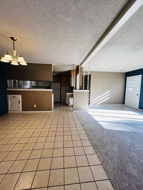 502 S Williams St, Forrest, IL 61741 photo 4