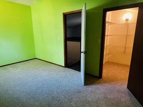 502 S Williams St, Forrest, IL 61741 photo 19