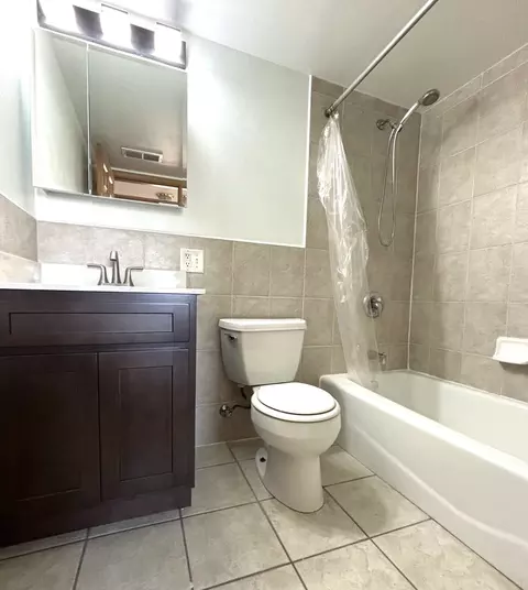 Bath - 239 W 18th St #3A, Chicago, IL 60616 photo 1 of 2