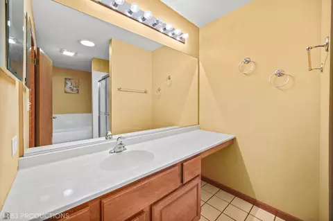 13820 S Mandarin Ct, Plainfield, IL 60544 photo 14