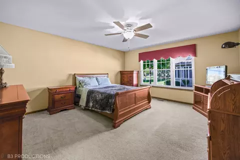 13820 S Mandarin Ct, Plainfield, IL 60544 photo 9