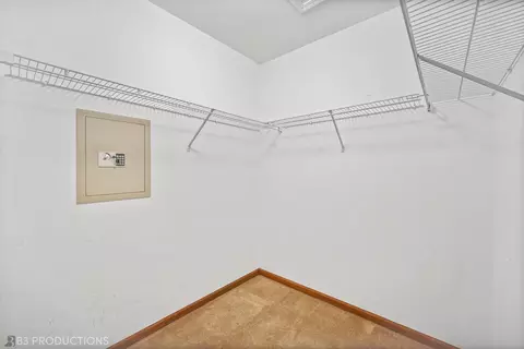 13820 S Mandarin Ct, Plainfield, IL 60544 photo 10