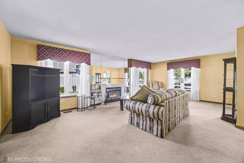 13820 S Mandarin Ct, Plainfield, IL 60544 photo 4