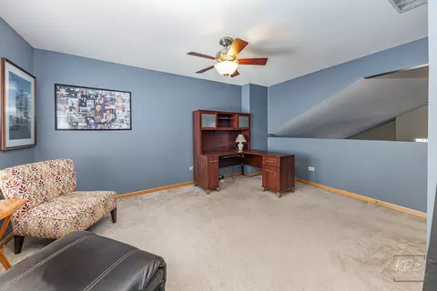 5848 Timber Trl, Plainfield, IL 60586 photo 19
