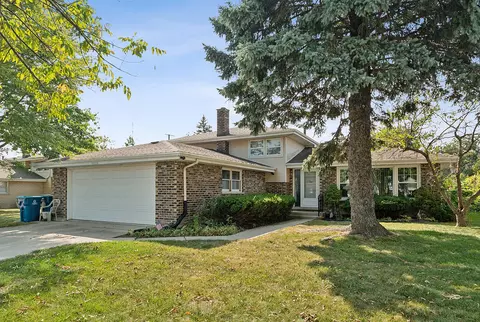 10318 S Michael Dr, Palos Hills, IL 60465