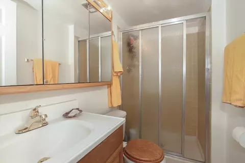 Bath - 4049 Winston Dr, Hoffman Estates, IL 60192 photo 3 of 3