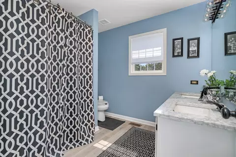 4316 Bronk Cor, Plainfield, IL 60586 photo 40