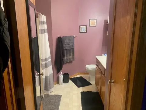 Bath - 5613 W Sutton Pl, Monee, IL 60449 photo 1 of 2
