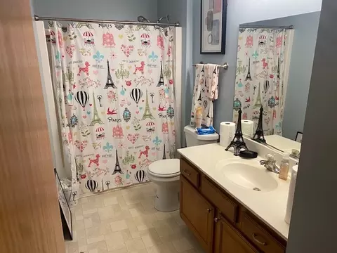Bath - 5613 W Sutton Pl, Monee, IL 60449 photo 2 of 2