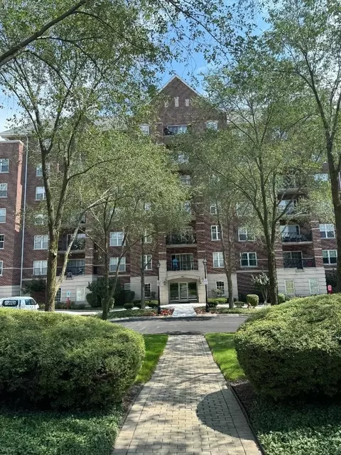 410 W Mahogany Ct #205, Palatine, IL 60067
