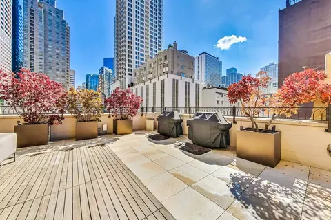 Other - 21 E Huron St #2603, Chicago, IL 60611 photo 18 of 19