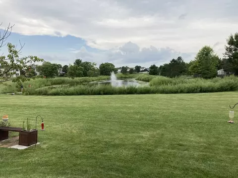 View/Area - 2909 Discovery Dr, Plainfield, IL 60586 photo 2 of 8