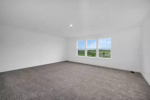 16155 S Summit St, Plainfield, IL 60586 photo 19