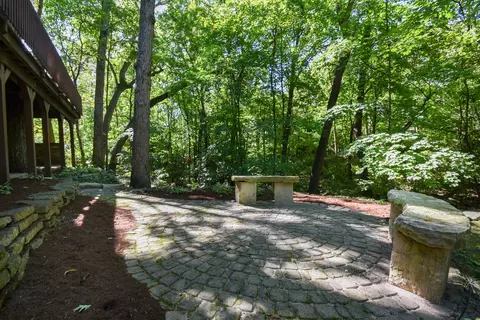 39 W Eureka Dr, Lemont, IL 60439 photo 20