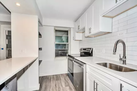 40 E 9th St #311, Chicago, IL 60605 photo 8