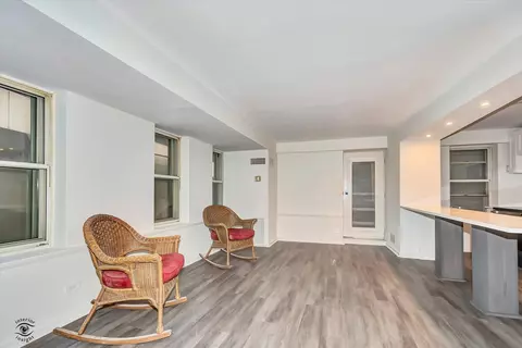 40 E 9th St #311, Chicago, IL 60605 photo 3