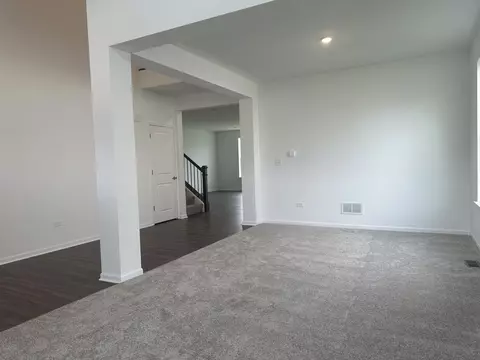 16163 S Summit St, Plainfield, IL 60586 photo 9