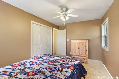 4115 Florence Dr, Johnsburg, IL 60051 photo 29