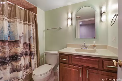 4115 Florence Dr, Johnsburg, IL 60051 photo 34
