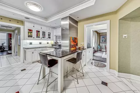 232 E Walton Pl #10E, Chicago, IL 60611 photo 11