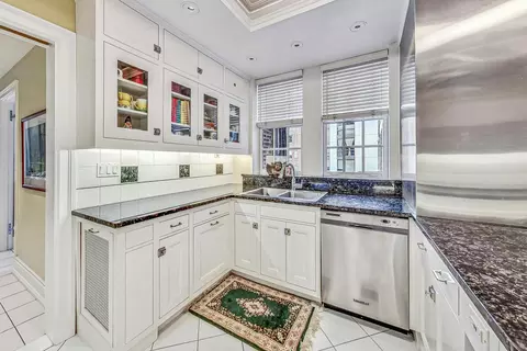 232 E Walton Pl #10E, Chicago, IL 60611 photo 12