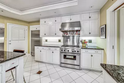 232 E Walton Pl #10E, Chicago, IL 60611 photo 14
