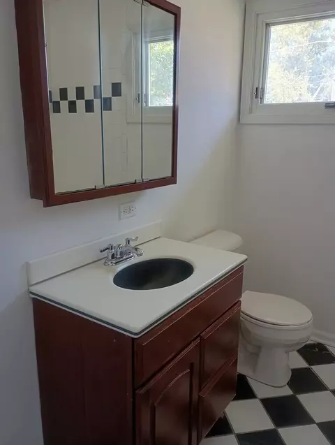 Bath - 455 Adams St, Elgin, IL 60123 photo 1 of 2