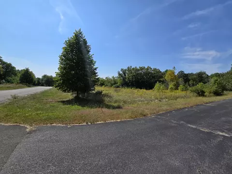40342 N Belle Foret Dr, Wadsworth, IL 60083