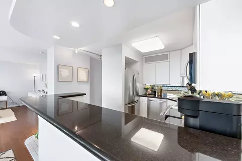 111 E Chestnut St #40D, Chicago, IL 60611 photo 15