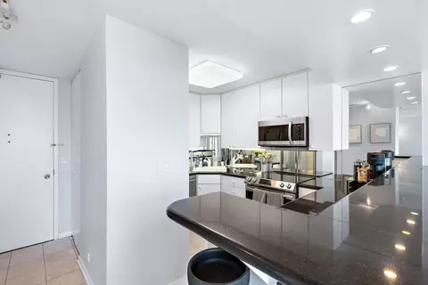 111 E Chestnut St #40D, Chicago, IL 60611 photo 14