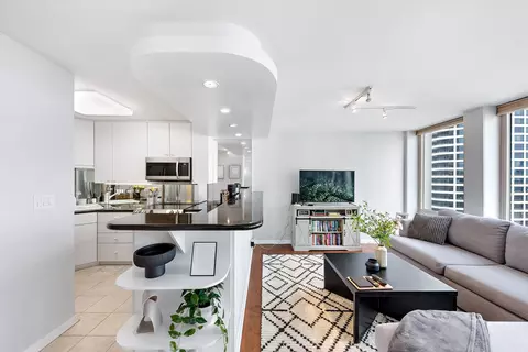 111 E Chestnut St #40D, Chicago, IL 60611 photo 13
