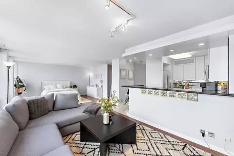 111 E Chestnut St #40D, Chicago, IL 60611 photo 4