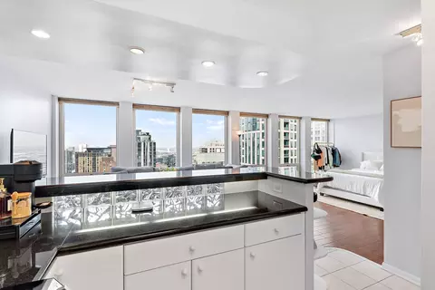 111 E Chestnut St #40D, Chicago, IL 60611 photo 16