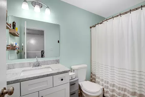 Bath - 25918 Derby Dr, Monee, IL 60449 photo 3 of 3