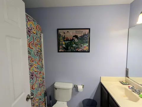 Bath - 1455 Misthaven Ln, Elgin, IL 60123 photo 2 of 3