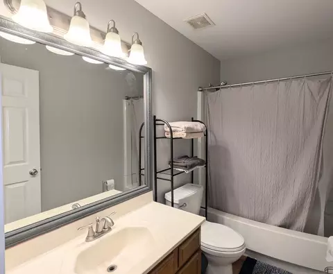 Bath - 1455 Misthaven Ln, Elgin, IL 60123 photo 3 of 3