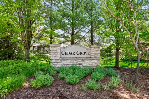 4079 Conifer Dr, Elgin, IL 60124 photo 41