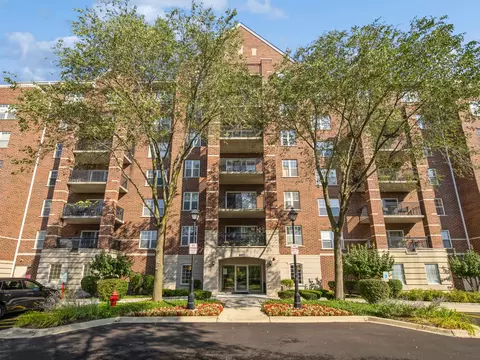 440 W Mahogany Ct #503, Palatine, IL 60067