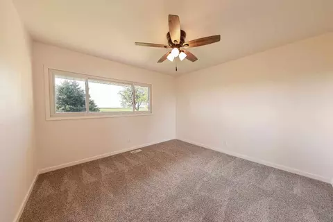 550 W Spring Rd, Mazon, IL 60444 photo 10