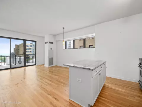 41 E 8th St #1303, Chicago, IL 60605 photo 8