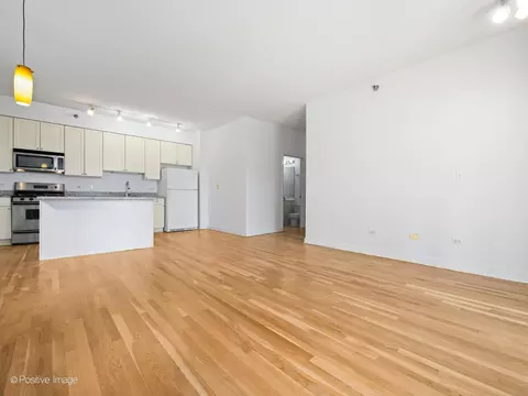 41 E 8th St #1303, Chicago, IL 60605 photo 5