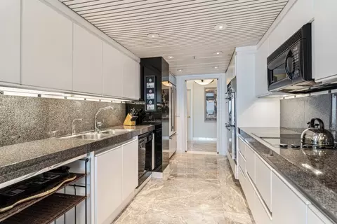 161 E Chicago Ave #54B, Chicago, IL 60611 photo 11
