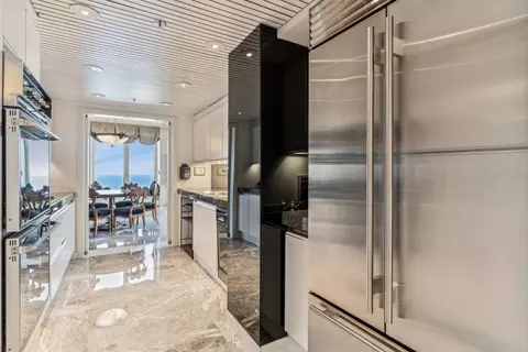 161 E Chicago Ave #54B, Chicago, IL 60611 photo 9